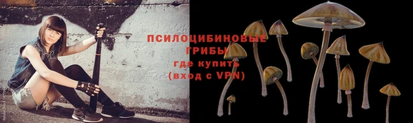 соль курить ск Касимов