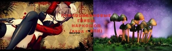 метадон Карпинск
